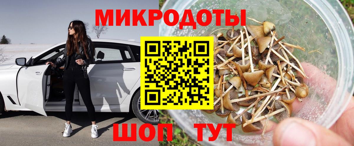 наркошоп  Псилоцибиновые грибы мухоморы  Вход с VPN  Псилоцибиновые грибы прущие грибы  Белореченск 