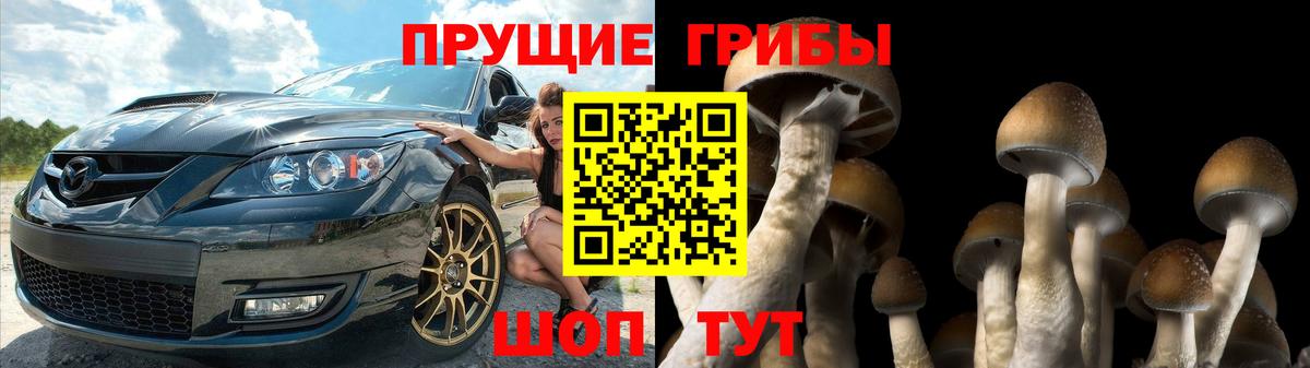 Псилоцибиновые грибы Magic Shrooms Белореченск